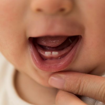 【小児歯科専門医監修】乳歯が生えるのはいつから？順番やケアの方法について