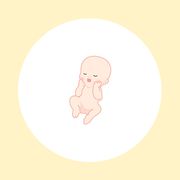 妊娠24週（7ヶ月）の妊婦・胎児の様子｜過ごし方や気になる症状