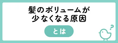 髪のボリュームが少なくなる原因とは
