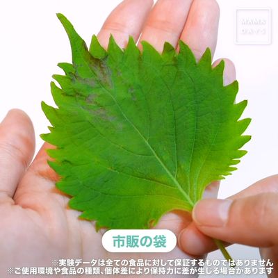 EC_LP用白完_E00138_料理研究家_浜内千波先生もオススメ!_野菜を長期間保存できるフードパック.00_00_24_28.静止画005