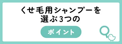 くせ毛対策シャンプーの選び方