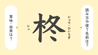 「柊」の意味や由来は？名前に込められる思いや名付けの例を紹介！
