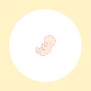 【医師監修】妊娠16週（5ヶ月）の妊婦・胎児の様子｜過ごし方や気になる症状