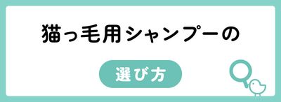 猫っ毛用シャンプーの選び方