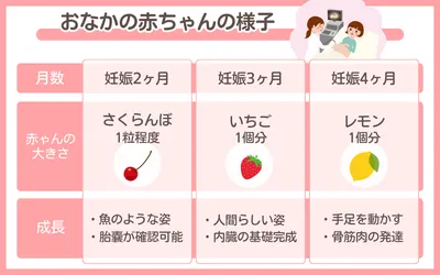 妊娠初期（妊娠1〜4ヶ月）｜よくある症状・過ごし方・赤ちゃんの様子を解説