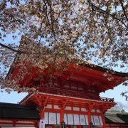 京都でおすすめの子宝神社6選！子授け祈願できるのはどこ？ご利益や歴史なども紹介