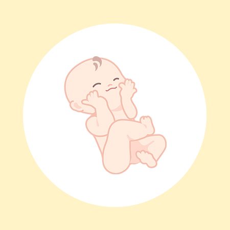 妊娠33週（9ヶ月）の妊婦・胎児の様子｜過ごし方や気になる症状