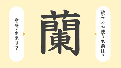 「蘭」の意味や由来は？名前に込められる思いや名付けの例を紹介！