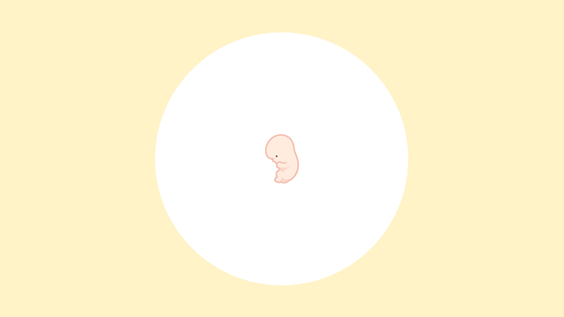 【医師監修】妊娠10週（3ヶ月）の妊婦・胎児の様子｜過ごし方や気になる症状