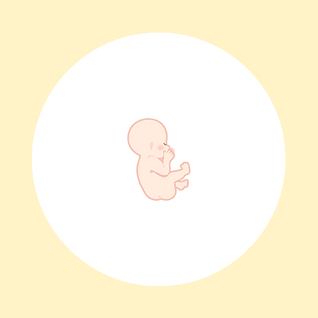 【医師監修】妊娠19週（5ヶ月）の妊婦・胎児の様子｜過ごし方や気になる症状