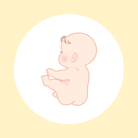 妊娠34週（9ヶ月）の妊婦・胎児の様子｜過ごし方や気になる症状