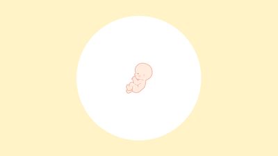 【医師監修】妊娠14週（4ヶ月）の妊婦・胎児の様子｜過ごし方や気になる症状