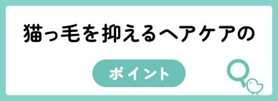 猫っ毛を扱いやすくする方法3つ