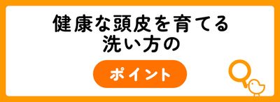 健康な頭皮を育てる洗い方のポイント
