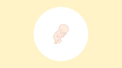 【医師監修】妊娠22週（6ヶ月）の妊婦・胎児の様子｜過ごし方や気になる症状