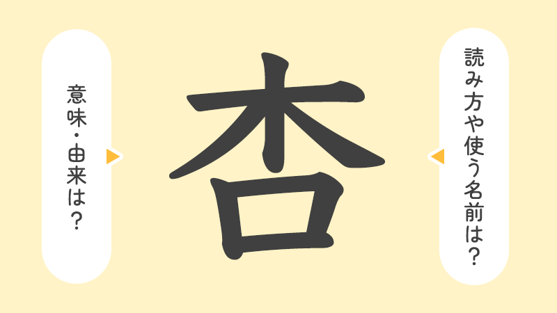 「杏」の意味や由来は？名前に込められる思いや名付けの例を紹介！