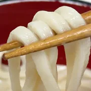 早く知りたかった！ 冷凍うどんの解凍法