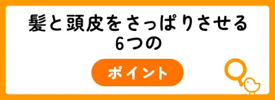 髪と頭皮をさっぱりさせるシャンプー・ヘアケア6つのポイント
