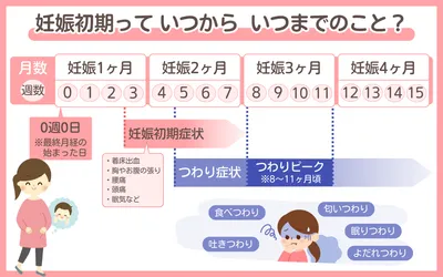 妊娠初期（妊娠1〜4ヶ月）｜よくある症状・過ごし方・赤ちゃんの様子を解説