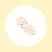 妊娠25週（7ヶ月）の妊婦・胎児の様子｜過ごし方や気になる症状