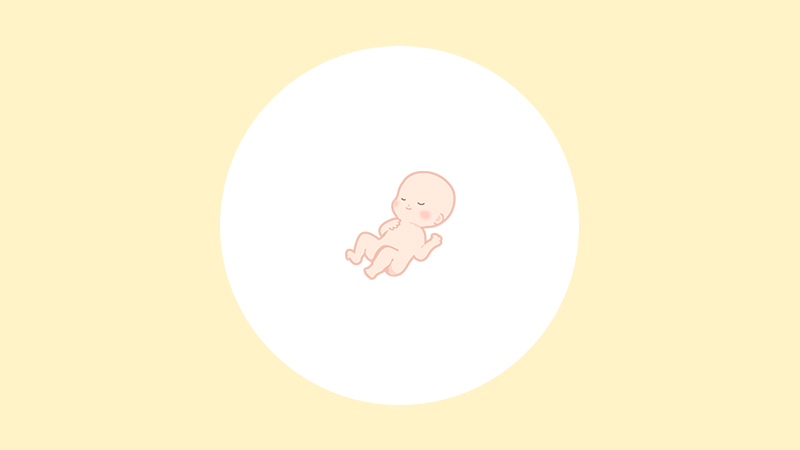 【医師監修】妊娠18週（5ヶ月）の妊婦・胎児の様子｜過ごし方や気になる症状