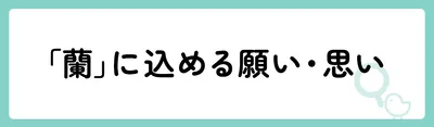 「蘭」の意味や由来は？名前に込められる思いや名付けの例を紹介！