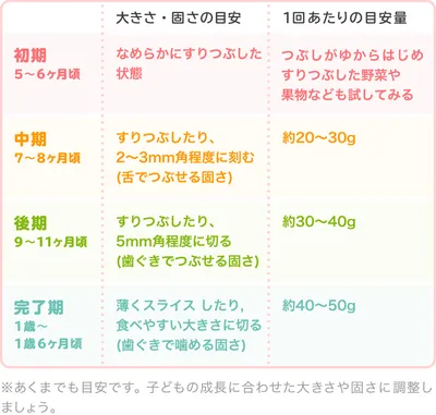 洋梨の時期別の固さ・1回あたりの目安量/表