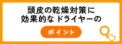 頭皮の乾燥対策に効果的なドライヤーのポイント
