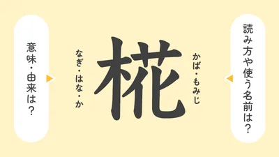 「椛」の意味や由来は？名前に込められる思いや名付けの例を紹介！
