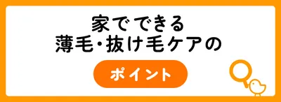 家でできる薄毛・抜け毛ケア
