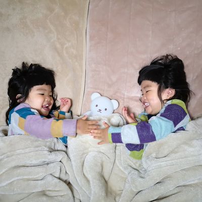 記事用