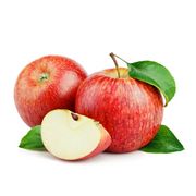 りんごはつわり中でも食べやすい！おすすめの食べ方や注意点を解説！【管理栄養士監修】