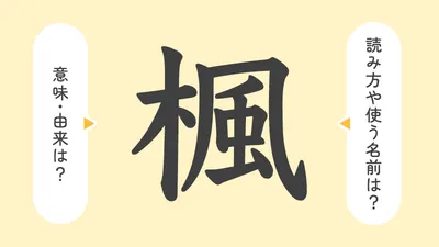 「楓」の意味や由来は？名前に込められる思いや名付けの例を紹介！