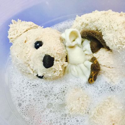 ぬいぐるみの洗濯 洗濯方法や干し方はどうすればいい 2ページ目 Mamadays ママデイズ ぬいぐるみの洗濯 洗濯方法や干し方はどうすればいい 2ページ目 Mamadays ママデイズ