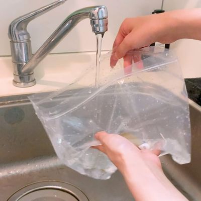 EC_LP用白完_E00138_料理研究家_浜内千波先生もオススメ!_野菜を長期間保存できるフードパック.00_00_33_01.静止画001