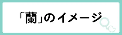 「蘭」の意味や由来は？名前に込められる思いや名付けの例を紹介！