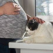 Q.妊娠中に猫や犬、 ペットと一緒に生活する のはやめたほうがよいですか？