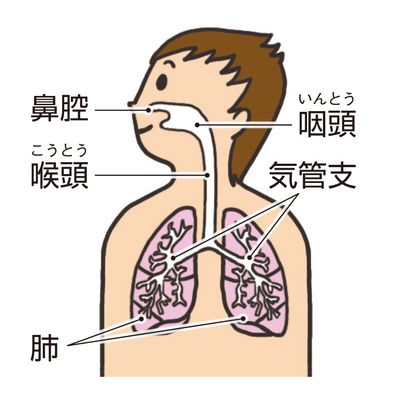 呼吸器