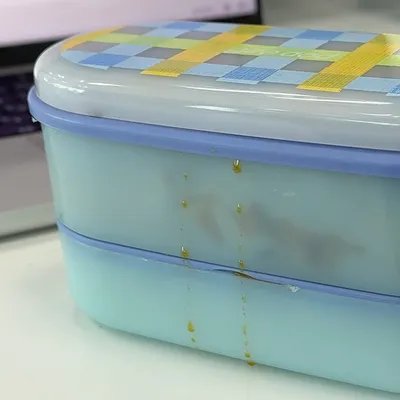 立てて運べる!薄型の便利なお弁当箱