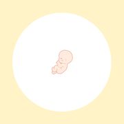 【医師監修】妊娠14週（4ヶ月）の妊婦・胎児の様子｜過ごし方や気になる症状