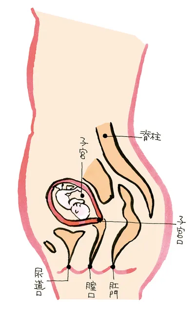 ４か月のママのからだ