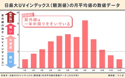 紫外線のグラフのコピー