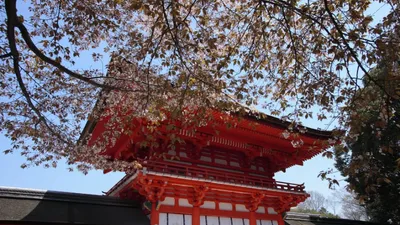 京都でおすすめの子宝神社6選！子授け祈願できるのはどこ？ご利益や歴史なども紹介