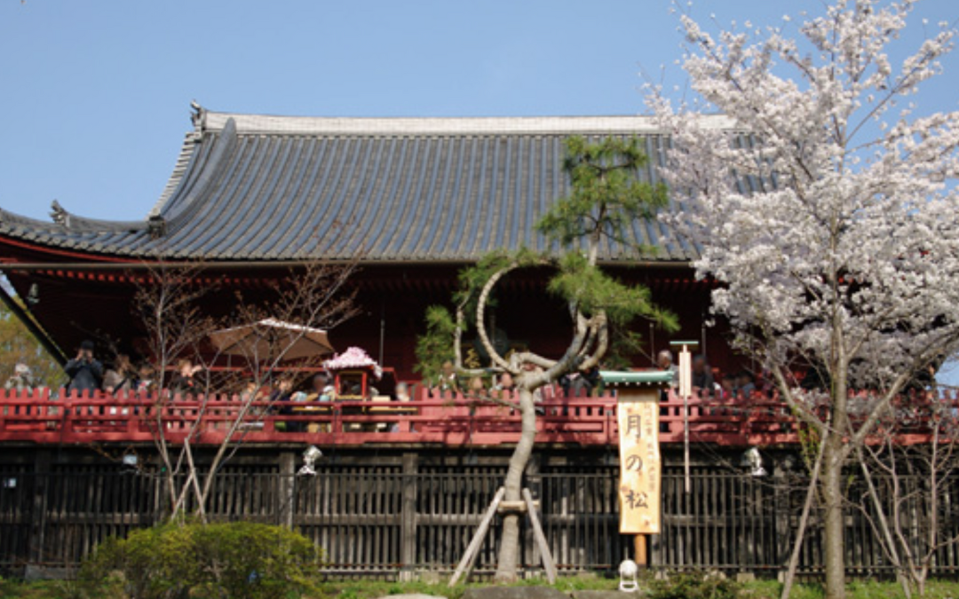 東京でおすすめの子宝神社7選！子授け祈願できるのはどこ？ご利益や歴史なども紹介