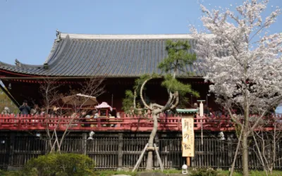 東京でおすすめの子宝神社7選！子授け祈願できるのはどこ？ご利益や歴史なども紹介