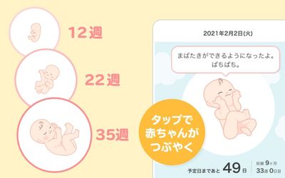 ママデイズ_アプリ_妊娠週数機能_2