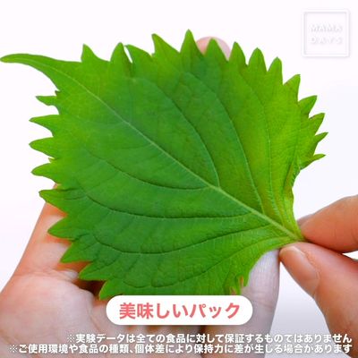 EC_LP用白完_E00138_料理研究家_浜内千波先生もオススメ!_野菜を長期間保存できるフードパック.00_00_28_07.静止画006