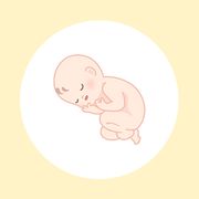 妊娠31週（8ヶ月）の妊婦・胎児の様子｜過ごし方や気になる症状