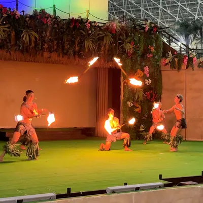 1日中遊べる!子どもも大人も楽しめるプールが魅力