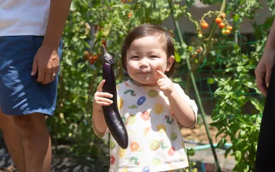 子どもを育てる家族のあり方